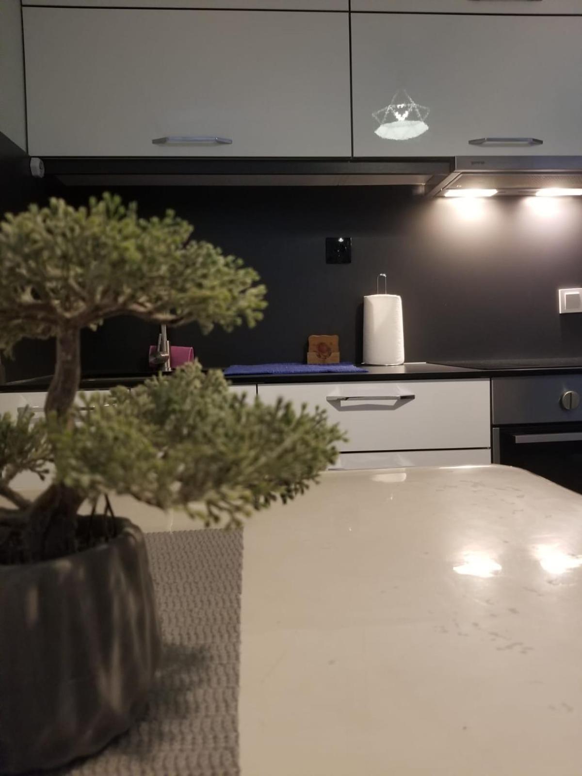 Cozy&Comfy Apartment In The Center Of Prishtina Приштина Екстер'єр фото